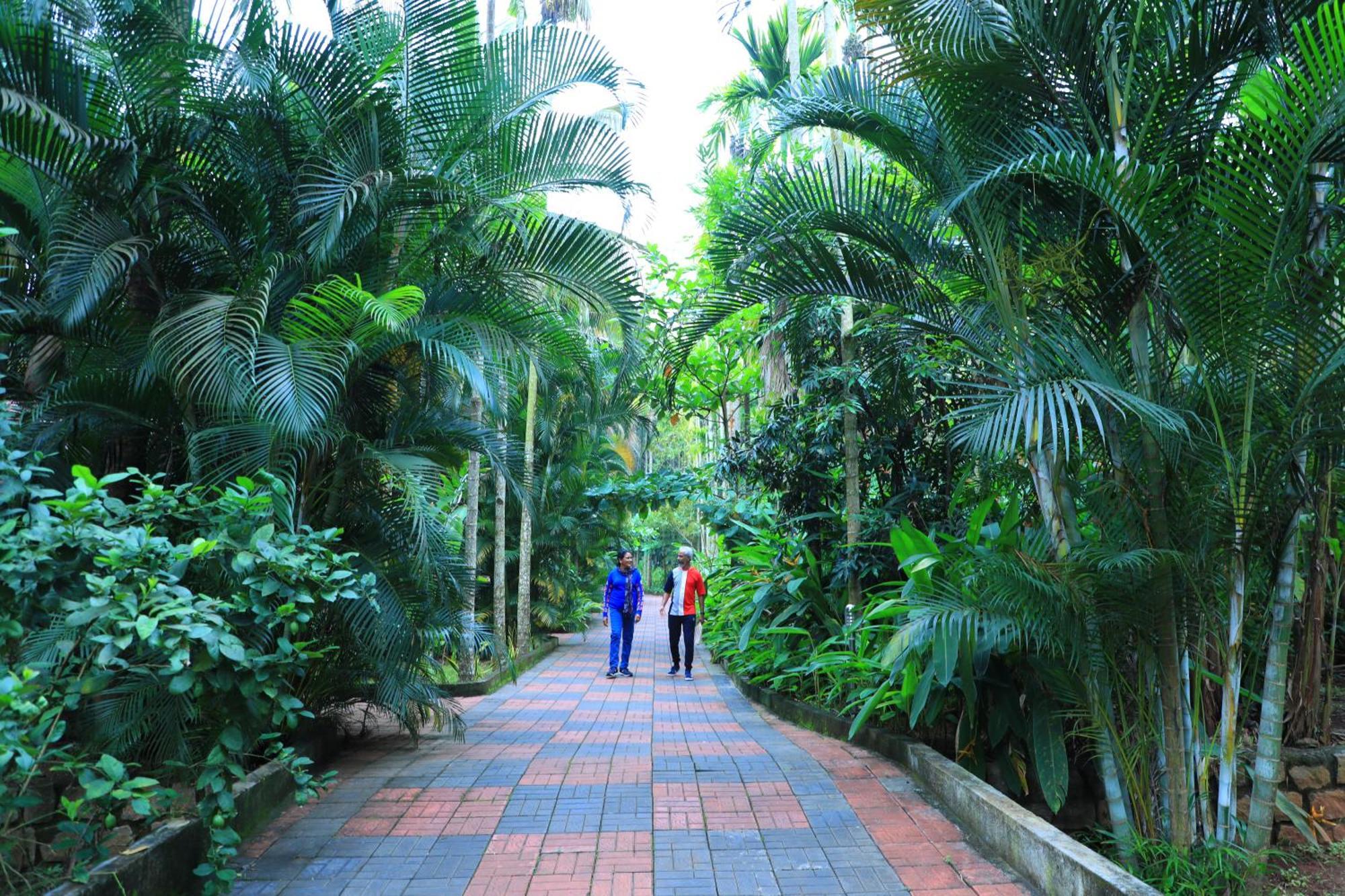 Parampara Resort & Spa, Coorg Kushalnagar Exterior photo